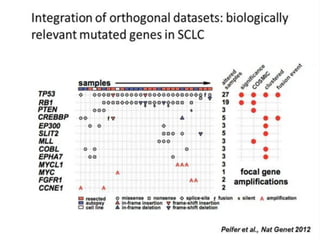 06 Cancer Microcítico de Pulmón
