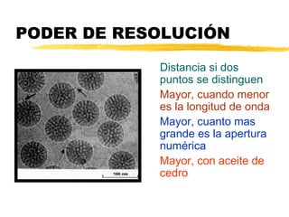 PODER DE RESOLUCIÓN

            Distancia si dos
            puntos se distinguen
            Mayor, cuando menor
            es la longitud de onda
            Mayor, cuanto mas
            grande es la apertura
            numérica
            Mayor, con aceite de
            cedro
 