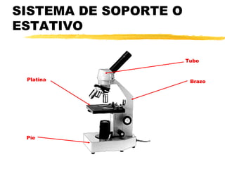 SISTEMA DE SOPORTE O
ESTATIVO

                       Tubo


 Platina                Brazo




 Píe
 