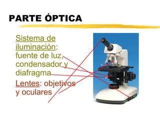 PARTE ÓPTICA

 Sistema de
 iluminación:
 fuente de luz,
 condensador y
 diafragma
 Lentes: objetivos
 y oculares
 