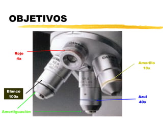 OBJETIVOS


     Rojo
      4x
                Amarillo
                 10x




  Blanco
   100x         Azul
                40x

Amortiguación
 