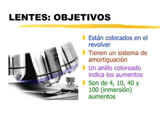 LENTES: OBJETIVOS Están colocados en el revolver Tienen un sistema de amortiguación Un anillo coloreado indica los aumentos Son de 4, 10, 40 y 100 (inmersión) aumentos 