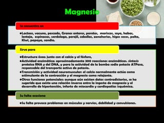 Magnesio
Se encuentra en

•Lacteos, vacuno, pescado, Granos enteros, porotos, mariscos, soya, habas,
 lenteja, espinacas, verdolaga, perejil, cebollas, zanahorias, higos secos, palta,
 Kiwi, papaya, sandia.

Sirve para

•Estructura ósea: junto con el calcio y el fósforo,
•Actividad enzimática: aproximadamente 300 reacciones enzimáticas. síntesis
 proteica RNA y del DNA, y para la actividad de la bomba sodio potasio ATPasa,
 responsable del transporte activo de potasio.
•Transmisión y actividad neuromuscular: el calcio normalmente actúa como
 estimulante de la contracción y el magnesio como relajante.
•Otras funciones potenciales: aunque aún existen datos contradictorios, se ha
 sugerido que existe una relación inversa entre la ingesta de magnesio y el
 desarrollo de hipertensión, infarto de miocardio y cardiopatías isquémica.

Su falta ocasiona

•Su falta provoca problemas en músculos y nervios, debilidad y convulsiones.
 
