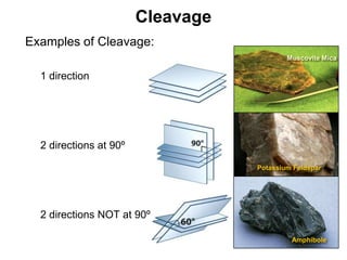 Cleavage
•   Examples of Cleavage:
                                                 Muscovite Mica

    •   1 direction




    •   2 directions at 90º

                                         Potassium Feldspar




    •   2 directions NOT at 90º

                                                  Amphibole

                                                         Chapter 5
 