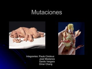 Mutaciones Integrantes: Paulo Córdova José Mestanza Danilo Vergara Omar Chang 