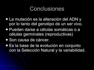 Conclusiones La mutación es la alteración del ADN y por lo tanto del genotipo de un ser vivo. Pueden darse a células somáticas o a células germinales (reproductivas) Son causa de cáncer. Es la base de la evolución en conjunto con la Selección Natural y la variabilidad. 