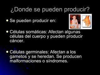 ¿Donde se pueden producir? Se pueden producir en: Células somáticas: Afectan algunas células del cuerpo y pueden producir cáncer. Células germinales: Afectan a los gametos y se heredan. Se producen malformaciones o síndromes. 