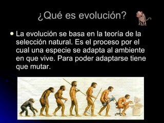 ¿Qué es evolución? La evolución se basa en la teoría de la selección natural. Es el proceso por el cual una especie se adapta al ambiente en que vive. Para poder adaptarse tiene que mutar. 
