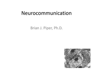 Neurocommunication

   Brian J. Piper, Ph.D.
 
