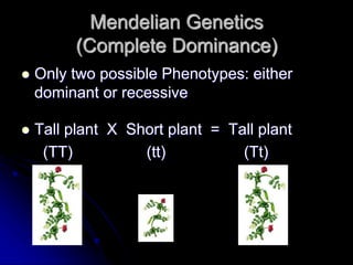 Mendelian Genetics
(Complete Dominance)
 Only two possible Phenotypes: either
dominant or recessive
 Tall plant X Short plant = Tall plant
(TT) (tt) (Tt)
 
