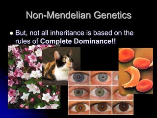 Non-Mendelian Genetics
 But, not all inheritance is based on the
rules of Complete Dominance!!
 