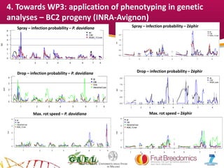 YOUR LOGO
0
1
2
3
4
5
6
Proba infection _ Spray _ carte P.davidiana
Chromosome
lod
1 2 3 4 5 6 7 8
IM
CIM
MQM_1Covar
0
1
2
3
4
Proba infection _ Drop _ carte P.davidiana
Chromosome
lod
1 2 3 4 5 6 7 8
IM
CIM
cova
interactiveCovar
0.0
0.5
1.0
1.5
2.0
Proba infection _ Spray _ carte Zephir
Chromosome
lod
1 2 3 4 5 6 7 8
IM
CIM
MQM_1Covar
0.0
0.5
1.0
1.5
2.0
Proba infection _ drop _ carte Ze_corr
Chromosome
lod
1 2 3 4 5 6 7 8
IM
CIM
MQM_auto
0
1
2
3
4
Proba infection _ Vitmax _ carte P.davidiana
Chromosome
lod
1 2 3 4 5 6 7 8
IM
CIM
interactiveCovar
MQM_1Covar
0
1
2
3
4
Proba infection _ Vitmax _ carte P.Zephir
Chromosome
lod
1 2 3 4 5 6 7 8
IM
CIM
interactiveCovar
MQM_1Covar
Spray – infection probability – P. davidiana
Drop – infection probability – P. davidiana
Max. rot speed – P. davidiana
Spray – infection probability – Zéphir
Drop – infection probability – Zéphir
Max. rot speed – Zéphir
4. Towards WP3: application of phenotyping in genetic
analyses – BC2 progeny (INRA-Avignon)
 