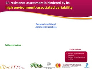 YOUR LOGO
BR-resistance assessment is hindered by its
high environment-associated variability
Seasonal conditions/
Agronomical practices
Pathogen factors
Fruit factors
- maturity variability inside
the plant
- fruit size variability inside a
seedling
 