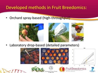 YOUR LOGO
Developed methods in Fruit Breedomics:
• Orchard spray-based (high-throughput)
• Laboratory drop-based (detailed parameters)
0 50 100 150 200
020406080
E36
temps_heure
diam_inf
 