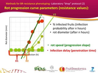 YOUR LOGO
time after infection (h)
Rotdiameter(mm)
Rot progression curve parameters (resistance values):
• % infected fruits (infection
probability after n hours)
• rot diameter (after n hours)
• Infection delay (penetration time)
V1 V2
D1 D2
• rot speed (progression slope)
Methods for BR-resistance phenotyping -Laboratory “drop” protocol (2)
 