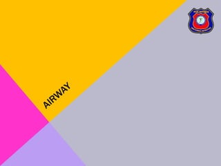 06 patient assessment 2