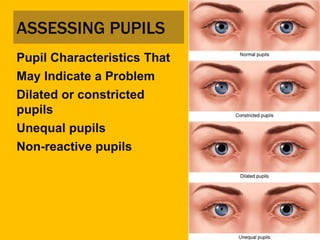 06 patient assessment 2