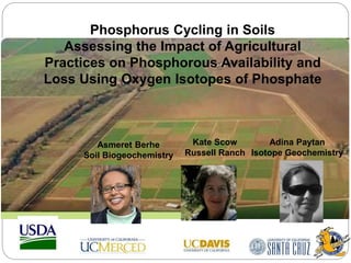 Kate Scow
Russell Ranch
Adina Paytan
Isotope Geochemistry
Asmeret Berhe
Soil Biogeochemistry
Phosphorus Cycling in Soils
Assessing the Impact of Agricultural
Practices on Phosphorous Availability and
Loss Using Oxygen Isotopes of Phosphate
 