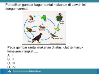 14/04/2021 15
14/04/2021 15
14/04/2021 15
Direktorat Pembinaan Sekolah Dasar
Pada gambar rantai makanan di atas, ulat termasuk
konsumen tingkat ....
A. I
B. II
C. III
D. IV
Perhatikan gambar bagan rantai makanan di bawah ini
dengan cermat!
 