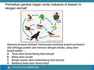 14/04/2021 16
14/04/2021 16
14/04/2021 16
Direktorat Pembinaan Sekolah Dasar
Seorang ilmuwan berhasil menemukan pestisida ampuh pembasmi
ulat sehingga jumlah ulat menurun dengan drastis, yang akan
terjadi adalah ....
A. Tikus akan berkembang biak banyak
B. Elang akan punah
C. Bunga sepatu akan berkembang biak banyak
D. Belalang tetap akan biasa hidup
Perhatikan gambar bagan rantai makanan di bawah ini
dengan cermat!
 