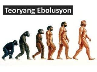CONGRATULATIONS!
MONKEY evolved into a HUMAN!
 