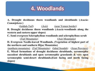 A. Drought deciduous thorn woodlands and shrublands (Acacia-
Commiphora )
(Jeddah-Taif) (Asir) (near Yemen border)
B. Drought deciduous thorn woodlands (Acacia woodlands along the
western and eastern upper slopes)
C. Semi evergreen Sclerophyllous woodlands and sclerophyllous scrub
(Taif Mountains) (Asir Mountains)
D. Evergreen Needle-leaved Woodlands. (Vegetation of highest part of
the northern and southern Hijaz Mountains)
(northern mountains) (Taif Mountains) (Jabal Soodah) (Jizan Province)
E. Mixed formations of drought deciduous shrublands, xeromorphic
succulent shrublands and open xeromorphic grasslands & very open
xeromorphic semi-desert shrublands.(East facing and north facing
slopes)
 