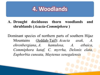 A. Drought deciduous thorn woodlands and
shrublands (Acacia-Commiphora )
Dominant species of northern parts of southern Hijaz
Mountains (Jeddah-Taif): Acacia asak, A.
ehrenbergiana, A. hamulosa, A. etbaica,
Commiphora kataf, C. myrrha, Delonix elata,
Euphorbia cuneata, Maytenus senegalensis
 