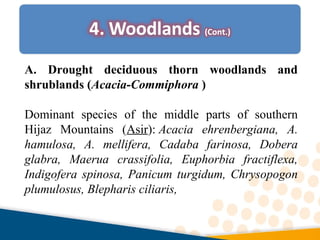 A. Drought deciduous thorn woodlands and
shrublands (Acacia-Commiphora )
Dominant species of the middle parts of southern
Hijaz Mountains (Asir): Acacia ehrenbergiana, A.
hamulosa, A. mellifera, Cadaba farinosa, Dobera
glabra, Maerua crassifolia, Euphorbia fractiflexa,
Indigofera spinosa, Panicum turgidum, Chrysopogon
plumulosus, Blepharis ciliaris,
 