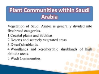 Vegetation of Saudi Arabia is generally divided into
five broad categories.
1.Coastal plains and Sabkhas
2.Deserts and scarcely vegetated areas
3.Dwarf shrublands
4.Woodlands and xeromorphic shrublands of high
altitude areas.
5.Wadi Communities.
 