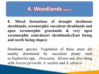 E. Mixed formations of drought deciduous
shrublands, xeromorphic succulent shrublands and
open xeromorphic grasslands & very open
xeromorphic semi-desert shrublands.(East facing
and north facing slopes)
Dominant species: Vegetation of these areas are
mainly dominated by succulent plants such
as Euphorbia spp., Dracaena, Klenia and Aloe along
with Acacia gerrardii, A. oerfota and A. etbaica.
 
