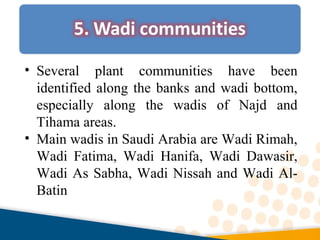 • Several plant communities have been
identified along the banks and wadi bottom,
especially along the wadis of Najd and
Tihama areas.
• Main wadis in Saudi Arabia are Wadi Rimah,
Wadi Fatima, Wadi Hanifa, Wadi Dawasir,
Wadi As Sabha, Wadi Nissah and Wadi Al-
Batin
 