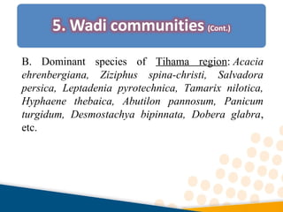 B. Dominant species of Tihama region: Acacia
ehrenbergiana, Ziziphus spina-christi, Salvadora
persica, Leptadenia pyrotechnica, Tamarix nilotica,
Hyphaene thebaica, Abutilon pannosum, Panicum
turgidum, Desmostachya bipinnata, Dobera glabra,
etc.
 