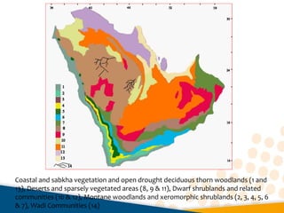 Coastal and sabkha vegetation and open drought deciduous thorn woodlands (1 and 
13), Deserts and sparsely vegetated areas (8, 9 & 11), Dwarf shrublands and related 
communities (10 & 12), Montane woodlands and xeromorphic shrublands (2, 3, 4, 5, 6 
& 7), Wadi Communities (14)
 