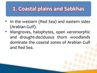 • In the western (Red Sea) and eastern sides 
(Arabian Gulf).
• Mangroves, halophytes, open xeromorphic 
and  drought-deciduous  thorn  woodlands 
dominate the coastal zones of Arabian Gulf 
and Red Sea.
 