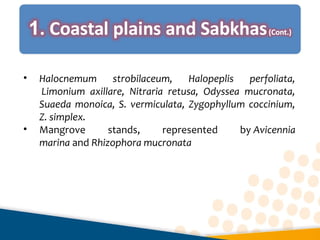 • Halocnemum strobilaceum, Halopeplis perfoliata,
Limonium axillare, Nitraria retusa, Odyssea mucronata,
Suaeda monoica, S. vermiculata, Zygophyllum coccinium,
Z. simplex.
• Mangrove  stands,  represented  by Avicennia
marina and Rhizophora mucronata
 