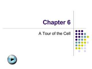 Chapter 6 A Tour of the Cell 