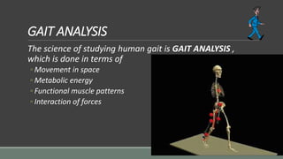 GAIT ANALYSIS
The science of studying human gait is GAIT ANALYSIS ,
which is done in terms of
◦ Movement in space
◦ Metabolic energy
◦ Functional muscle patterns
◦ Interaction of forces
 