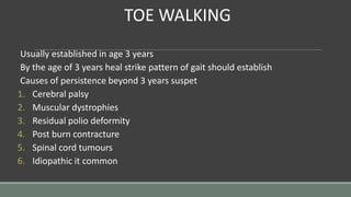 TOE WALKING
Usually established in age 3 years
By the age of 3 years heal strike pattern of gait should establish
Causes of persistence beyond 3 years suspet
1. Cerebral palsy
2. Muscular dystrophies
3. Residual polio deformity
4. Post burn contracture
5. Spinal cord tumours
6. Idiopathic it common
 