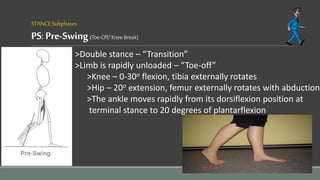 STANCESubphases
PS:Pre-Swing(Toe-Off/ Knee Break)
>Double stance – “Transition”
>Limb is rapidly unloaded – “Toe-off”
>Knee – 0-30o flexion, tibia externally rotates
>Hip – 20o extension, femur externally rotates with abduction
>The ankle moves rapidly from its dorsiflexion position at
terminal stance to 20 degrees of plantarflexion
 