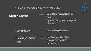NEUROLOGICAL CONTROL OF GAIT
Motor Cortex
Voluntary modulation of
gait.
Eg:Alter in speed,change in
direction.
•Cerebellum
•Extrapyramidal
tract
Controlling Balance
Responsible for most
complex unconscious
pathways
 