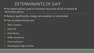DETERMINANTS OF GAIT
►Six optimizations used to minimize excursion of CG in vertical &
horizontal planes
►Reduce significantly energy consumption of ambulation
►The six determinants are
1. Pelvic rotation
2. Pelvic tilt
3. Knee flexion
4. Ankle mechanism
5. Foot mechanism
6. Physiological valgus of knee
 