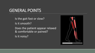 GENERAL POINTS
Is the gait fast or slow?
Is it smooth?
Does the patient appear relaxed
& comfortable or pained?
Is it noisy?
 
