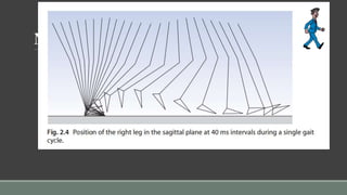 Normal Gait
Definition
Human gait is bipedal, biphasic,
forward propulsion of center of gravity,
in which there is alternate sinous
movement of head and body,
with least expenditure of
energy
 