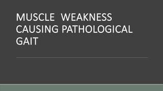 MUSCLE WEAKNESS
CAUSING PATHOLOGICAL
GAIT
 