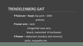 TRENDELENBERG GAIT
Fulcrum – head .hip joint – DDH
arthritis
Lever arm - neck
Congenital coxa vara,
#neck, malunited # trochanter
Power – abductors (medius and minmus)
polio, myopathy etc.
 