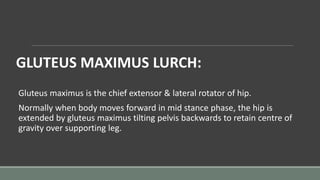 GLUTEUS MAXIMUS LURCH:
Gluteus maximus is the chief extensor & lateral rotator of hip.
Normally when body moves forward in mid stance phase, the hip is
extended by gluteus maximus tilting pelvis backwards to retain centre of
gravity over supporting leg.
 