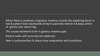 When there is weakness of gluteus maximus muscle the stabilizing factor is
lost & patient leans backwards at hip to passively extend it & keep centre
of gravity over stance leg.
This causes backward lurch in gluteus maximus gait.
Patient walks with protruberant abdomen.
Seen in poliomyelities & above knee amputation with prosthesis.
 