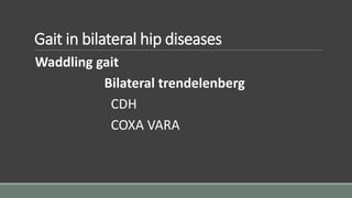 Gait in bilateral hip diseases
Waddling gait
Bilateral trendelenberg
CDH
COXA VARA
 