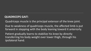 QUADRICEPS GAIT:
Quadriceps muscle is the principal extensor of the knee joint.
Due to weakness of quadriceps muscle, the affected limb is put
forward in stepping with the body leaning toward it anteriorly.
Patient gradually learns to stabilize his knee by directly
transferring his body weight over lower thigh, through his
ipsilateral hand.
 
