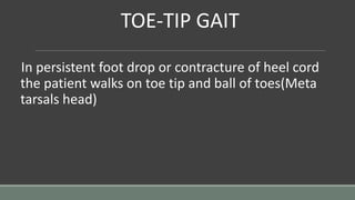 TOE-TIP GAIT
In persistent foot drop or contracture of heel cord
the patient walks on toe tip and ball of toes(Meta
tarsals head)
 